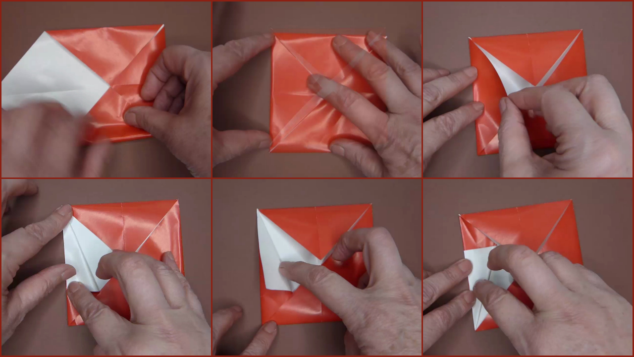 Collage PicMonkey2.jpg